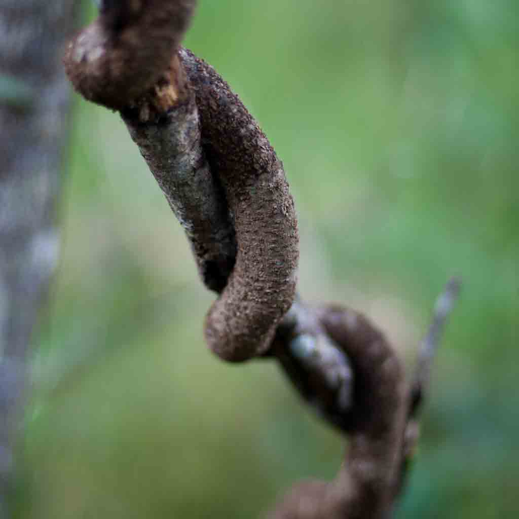 Four keys to building a great B2B customer evidence program (Part 2)