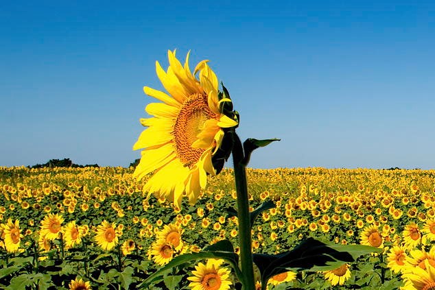 Four keys to building a great B2B customer evidence program (Part 4)